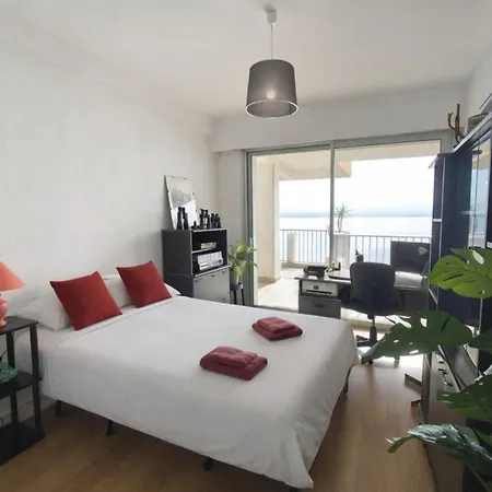 Beautiful T4 With A View Of The Gulf D'ajaccio Ajaccio (Corsica)